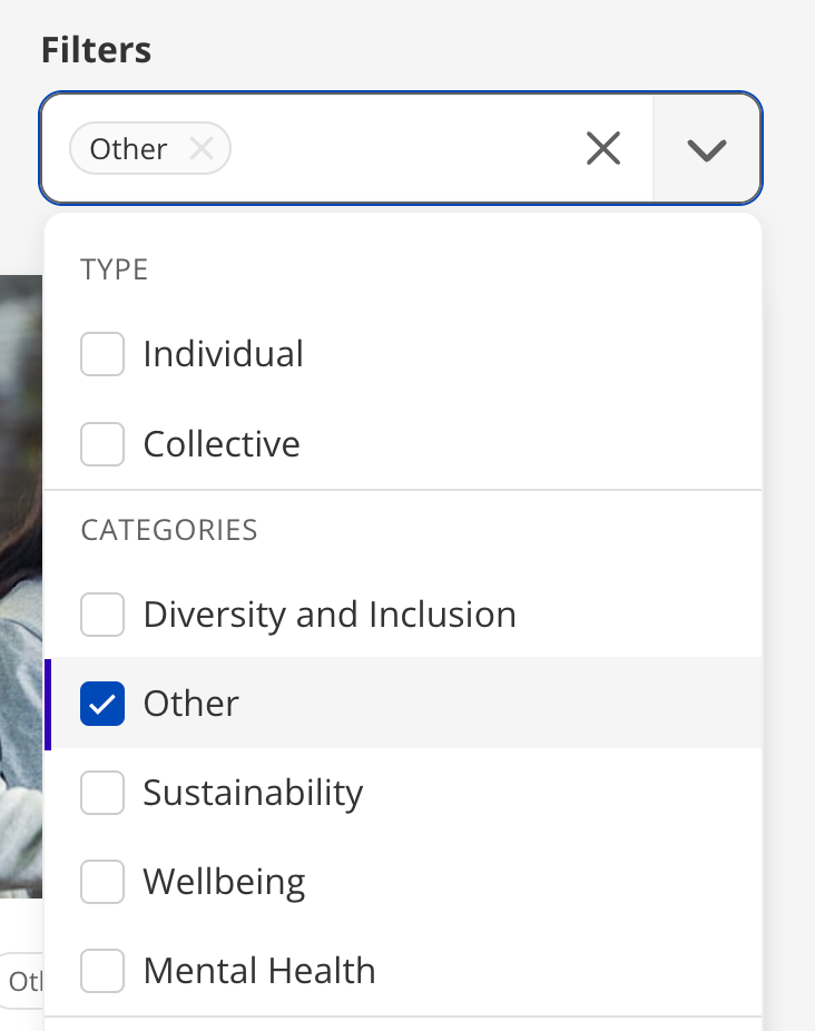 Browse Challenges filter panel showing custom category alongside standard categories