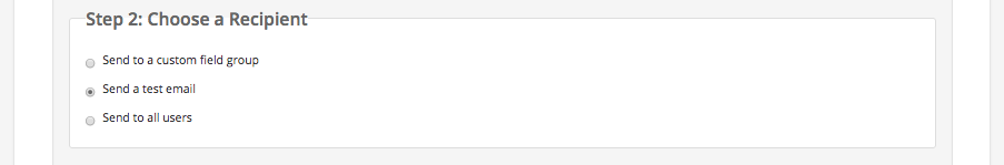 How_to_use_the_Bulk_Email_function_-__4.png